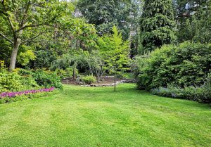 Optimiser l'expérience du jardin à Sennevoy-le-Bas